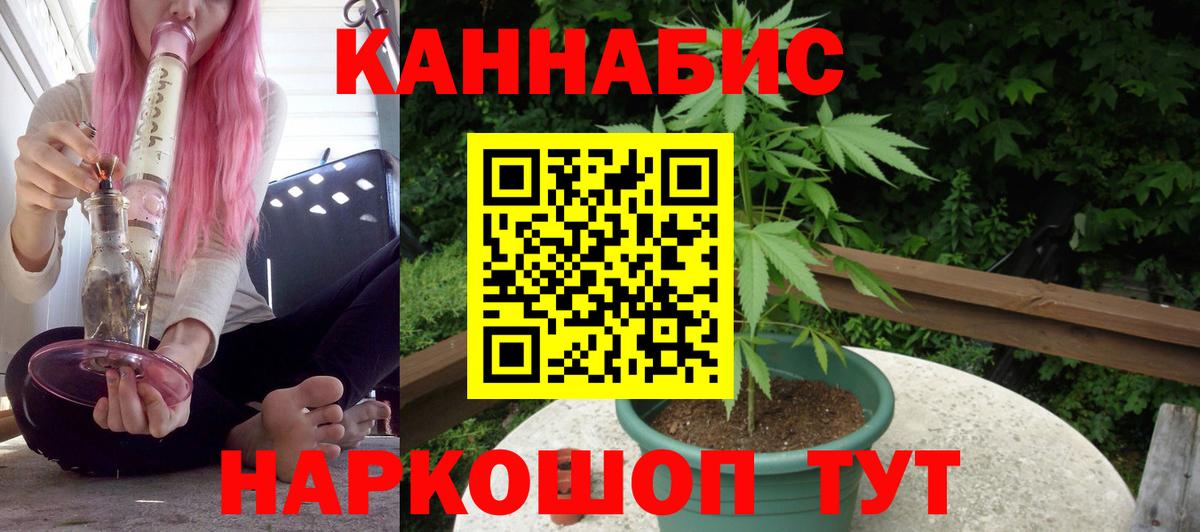 Зима  МАРИХУАНА планчик  Вход с VPN  МАРИХУАНА тримм  Марихуана OG Kush 